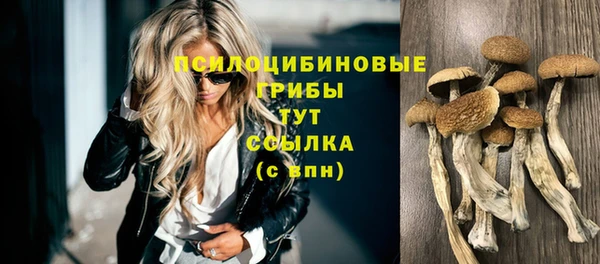 трава Алексин