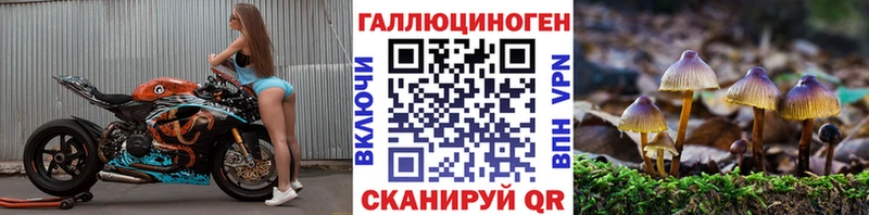 Псилоцибиновые грибы Magic Shrooms  Люберцы 